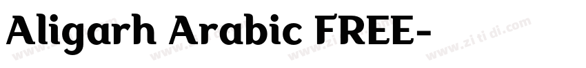Aligarh Arabic FREE字体转换